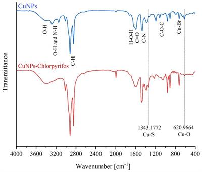 Visual detection of chlorpyrifos pesticide residues in foodstuffs using a colorimetric indicator based on copper nanoparticles